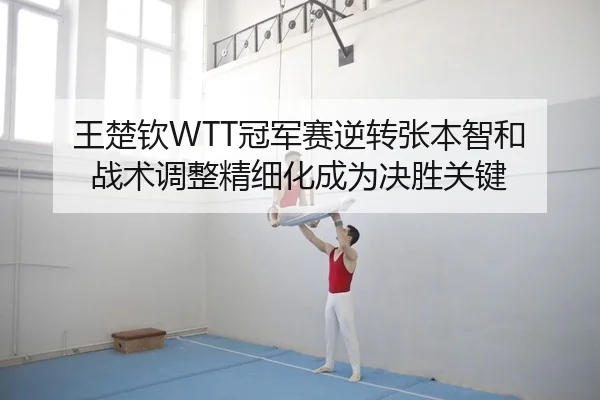 王楚钦WTT冠军赛逆转张本智和 战术调整精细化成为决胜关键